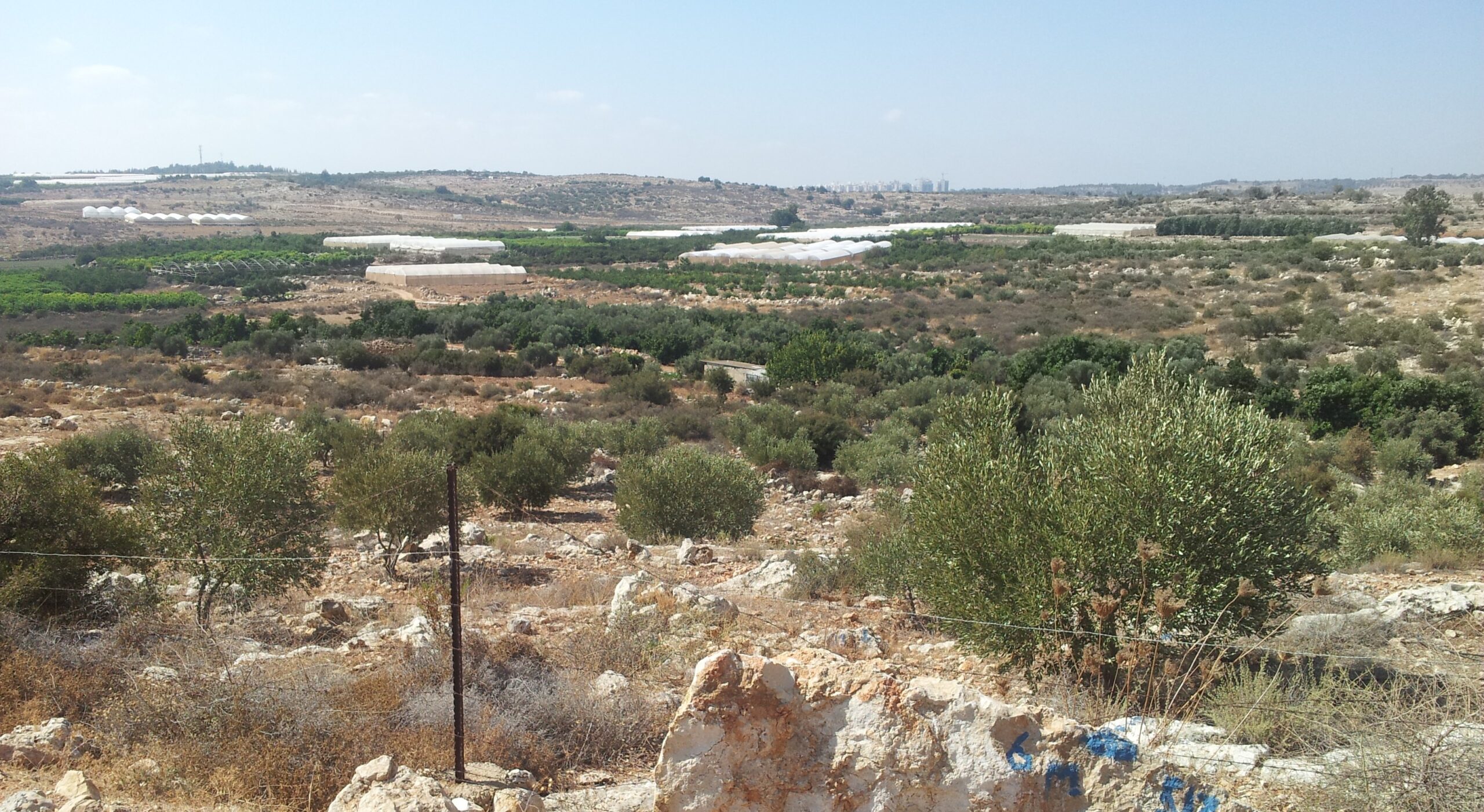 Abu Azzams (och flera andras) mark i sömzonen. Gröna linjen, som är den internationellt erkända gränsen för Israel, börjar inte förrän vid horisonten.