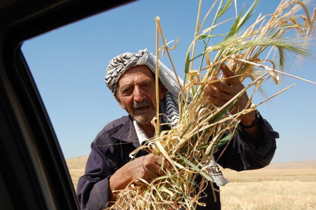 Att leva på militärt område