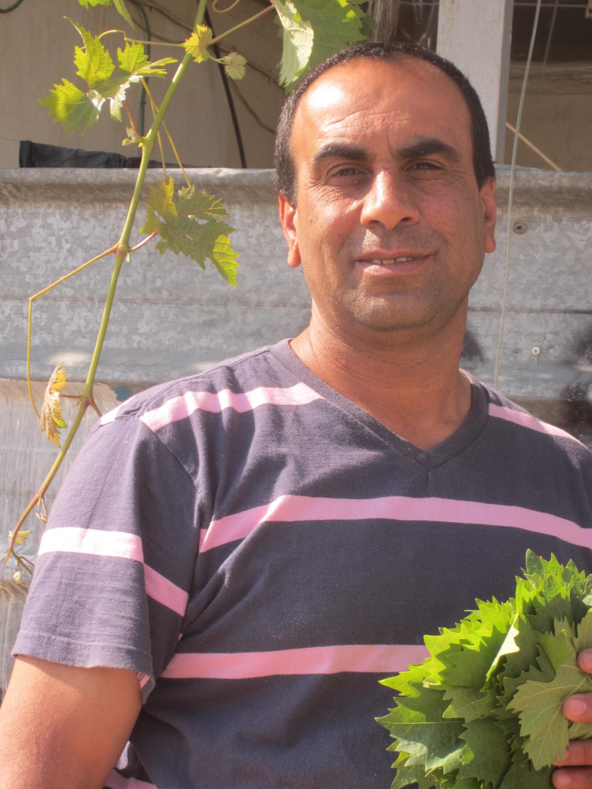 Porträttbild av bybon Ayed Barakat.