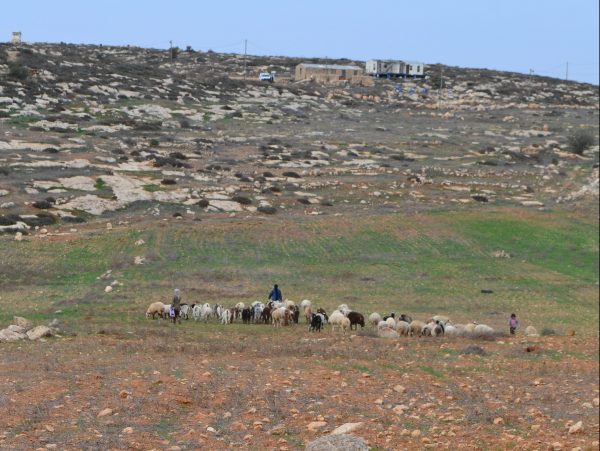 Att leva tillsammans – Ta’ayush