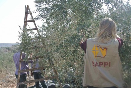 Tulkarem – en okänd pärla