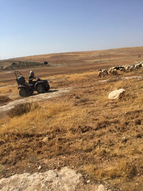 ”Öga för öga och världen skulle bli blind”