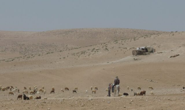 Sött te och en bitter verklighet