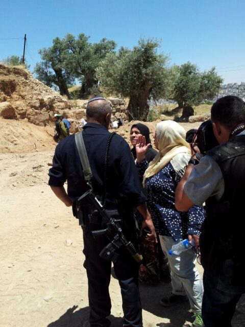 Utgrävningarna på Tel Rumeida