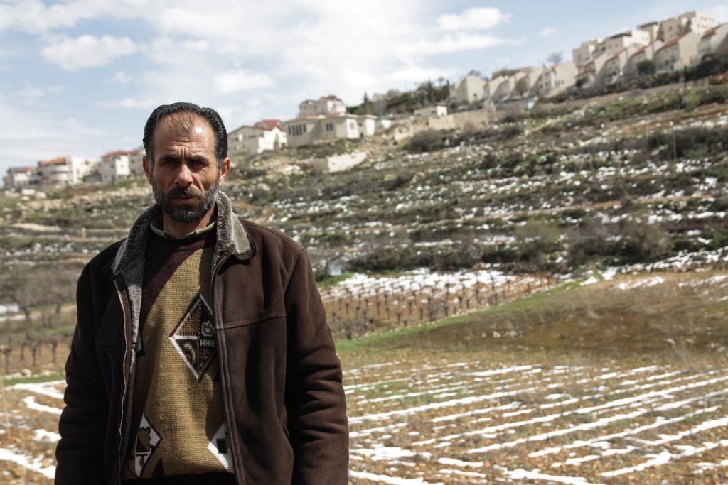 Ibrahim Sabeeh på sin mark, bonde från byn al-Khader.
