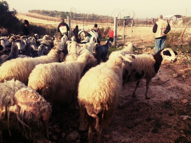 De som fastnar i vardagens väntan