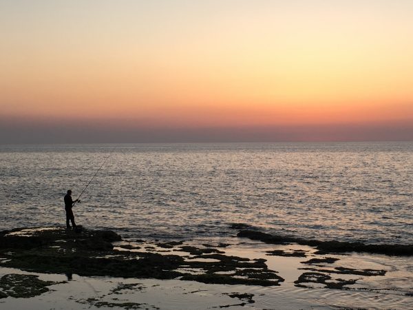 Havet – en saknad vän