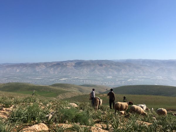 Västbankens moderna historia genom ett par ögon