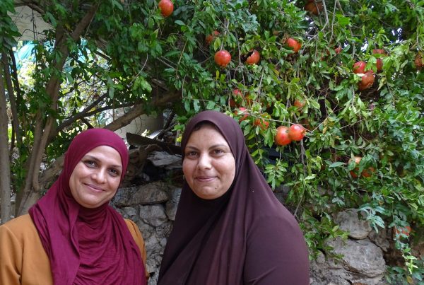 Kvinnorna i al-Walaja