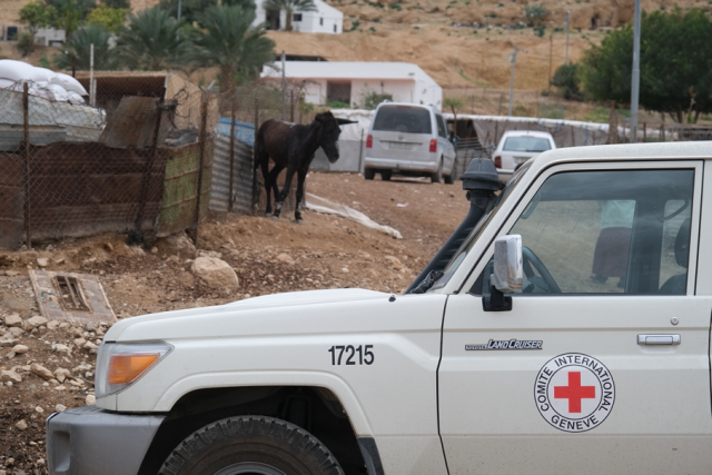 En trettonårings vittnesmål