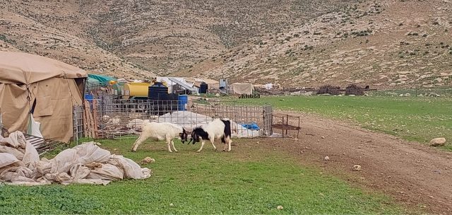 Naturreservat som maktmedel