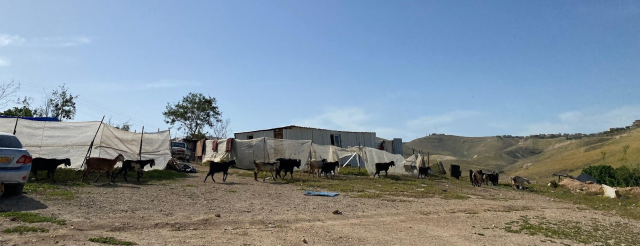 Faller en, faller alla