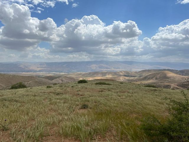 Jordbruk på ockuperad mark och tillgång till vatten i Jordandalen