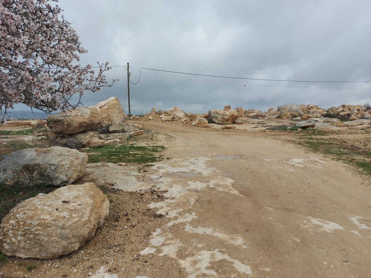 En grusig väg i den palestinska byn Susiya, till höger och vänster om den grusiga vägen stora stenbumingar. I ena hörnet syns delar av ett mandelträd i full blom.